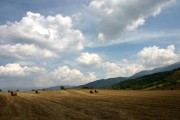 世界短道速滑教练能力认证第30期考试安排公布，国家短道速滑教练
