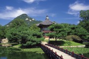 世界短跑社区赛季城市联动第十批承办方名单公布，短跑世界排名最新排名